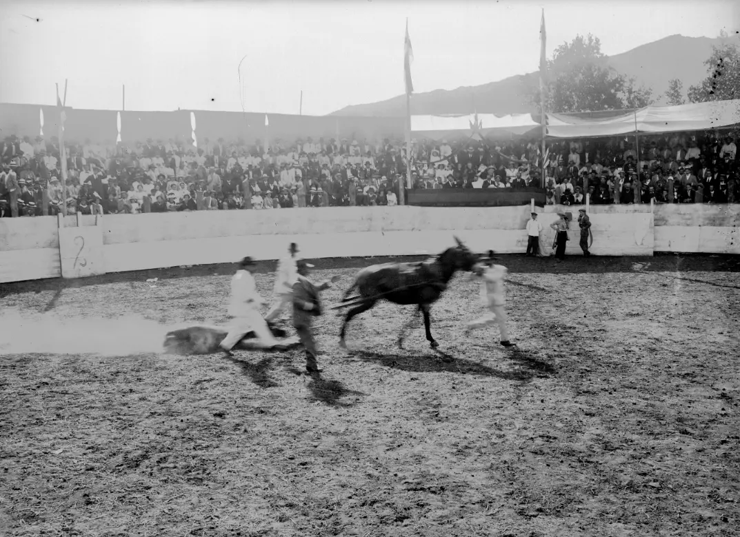 Corrida de toros en Argual